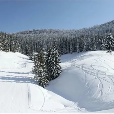 Lejlighed Ski House Pamporovo